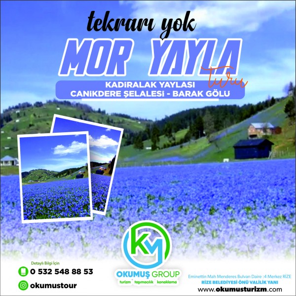 MOR YAYLA TURU